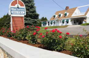 Отель Blue Spruce Motel & Townhouses  Плимут